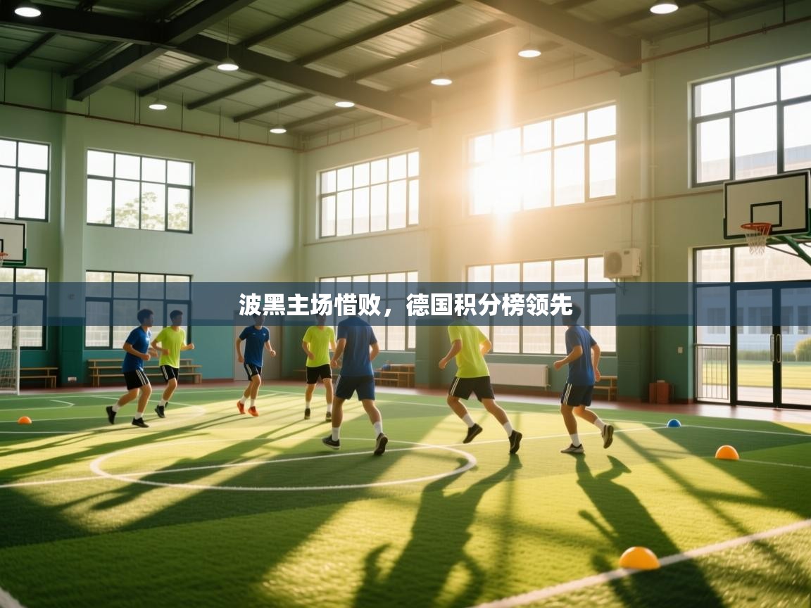 波黑主场惜败,德国积分榜领先 第2张