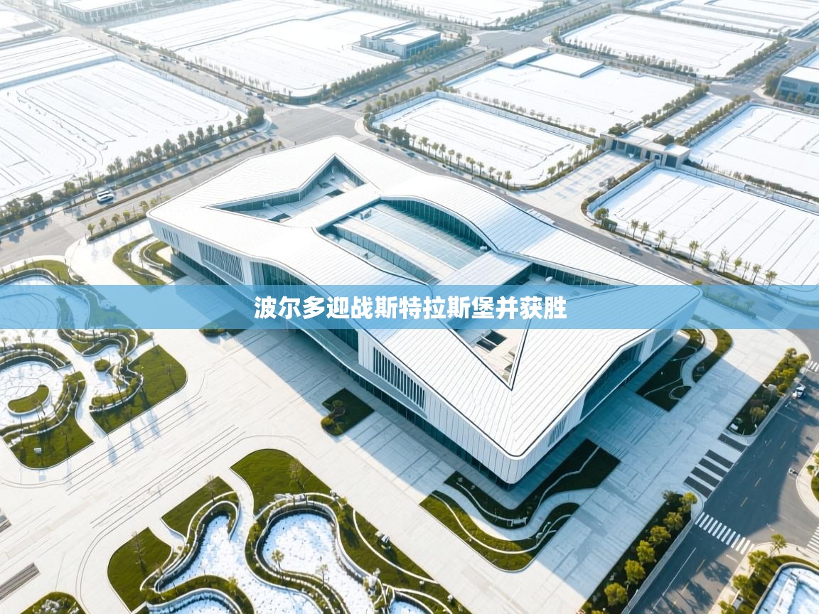 波尔多迎战斯特拉斯堡并获胜 第1张