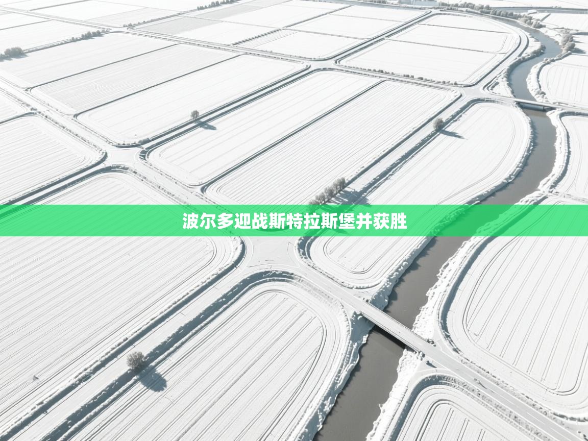 波尔多迎战斯特拉斯堡并获胜 第2张