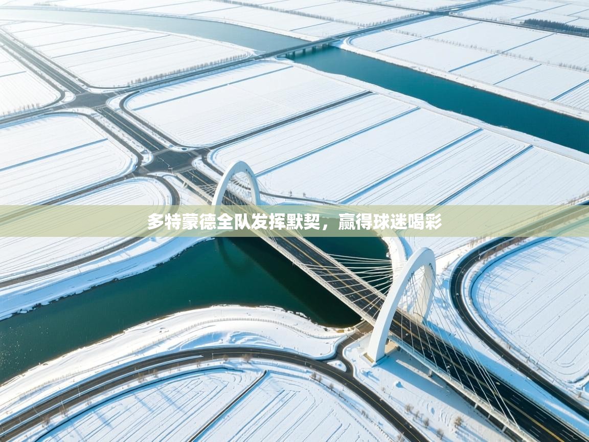 多特蒙德全队发挥默契，赢得球迷喝彩  第1张