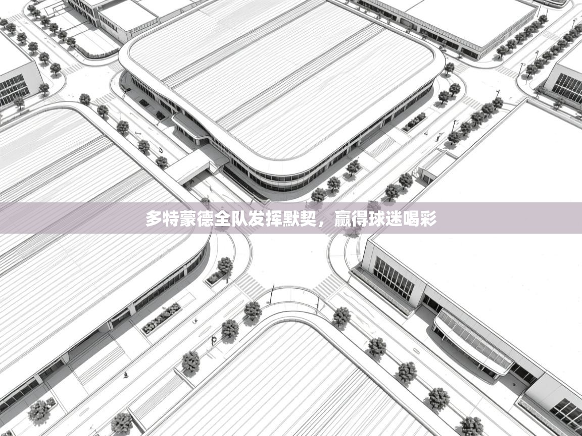 多特蒙德全队发挥默契，赢得球迷喝彩  第2张