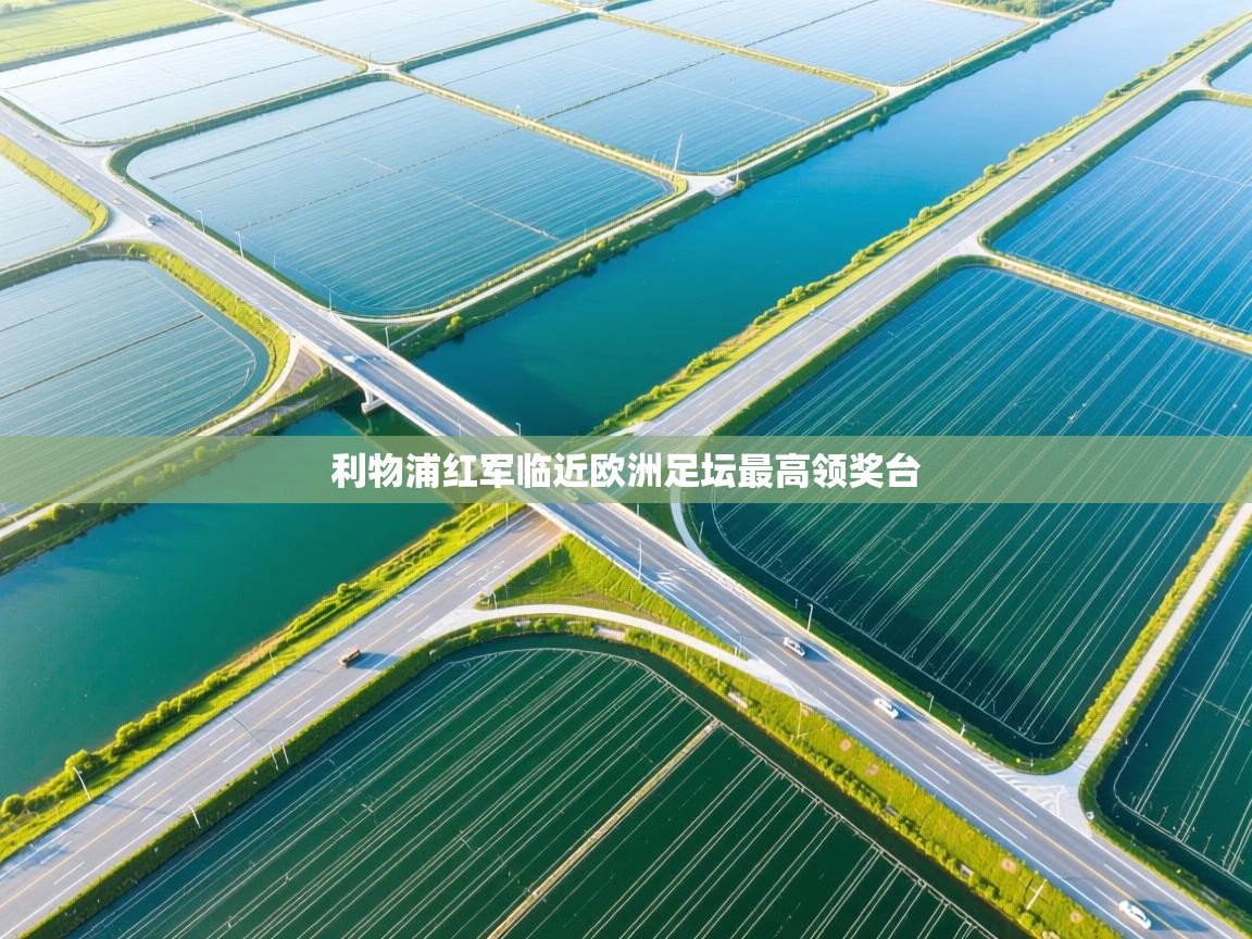 利物浦红军临近欧洲足坛最高领奖台 第1张