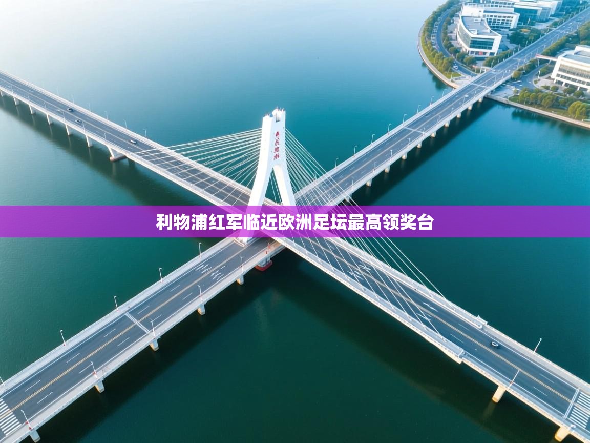 利物浦红军临近欧洲足坛最高领奖台 第2张