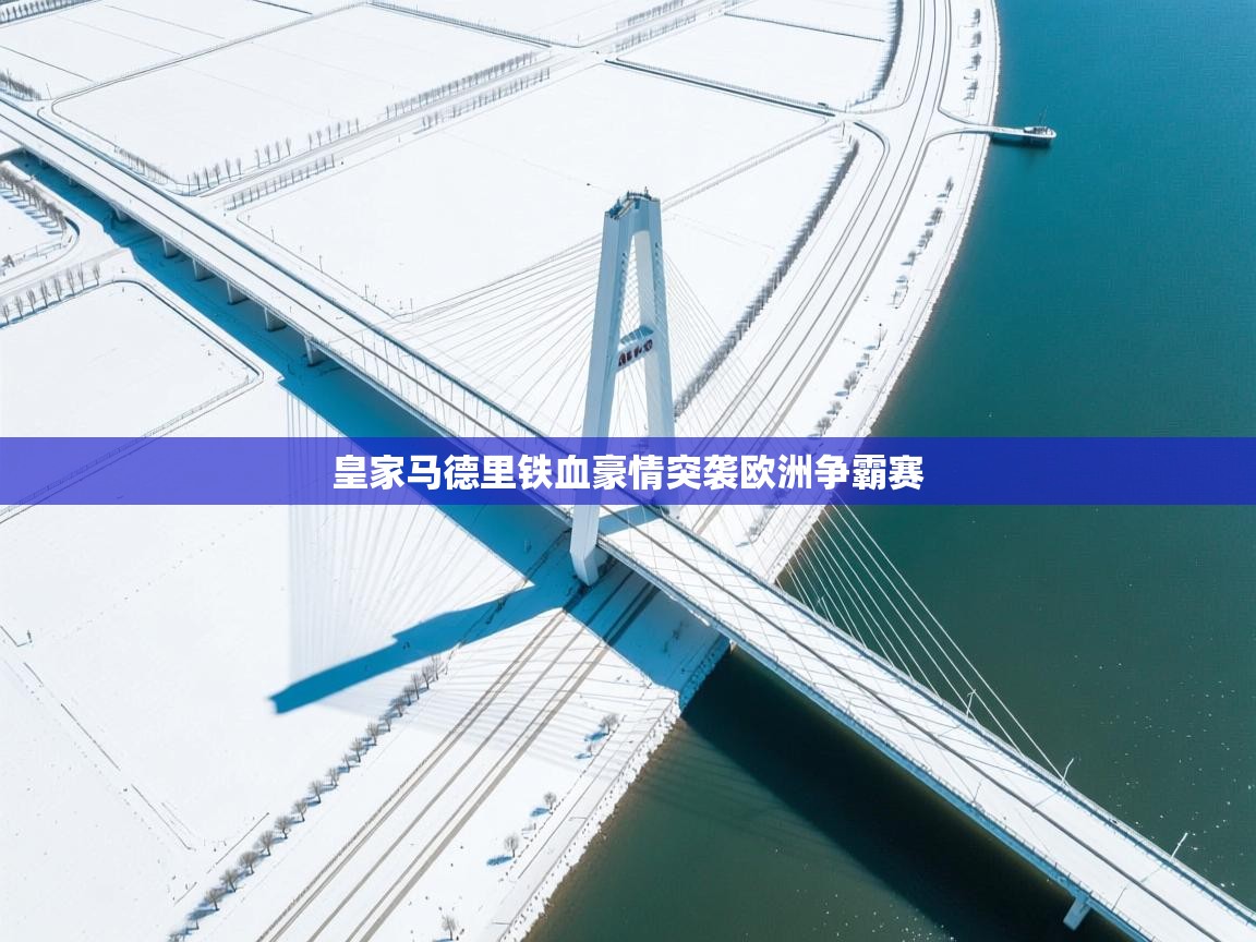 皇家马德里铁血豪情突袭欧洲争霸赛  第2张